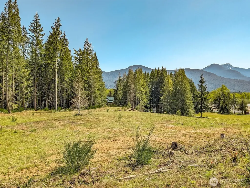 0 Craig Road Packwood WA 98361