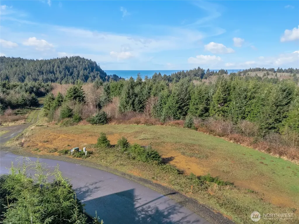 3038 Ocean View Court Ilwaco WA 98624