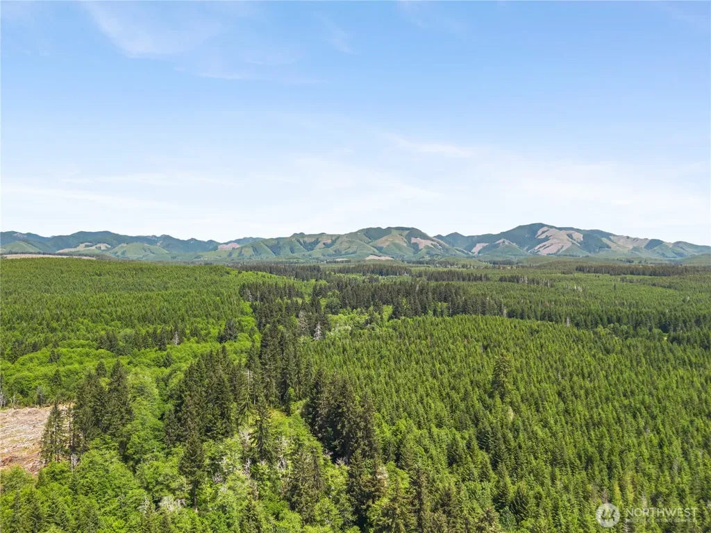 231 W New Moon Lane Matlock WA 98560