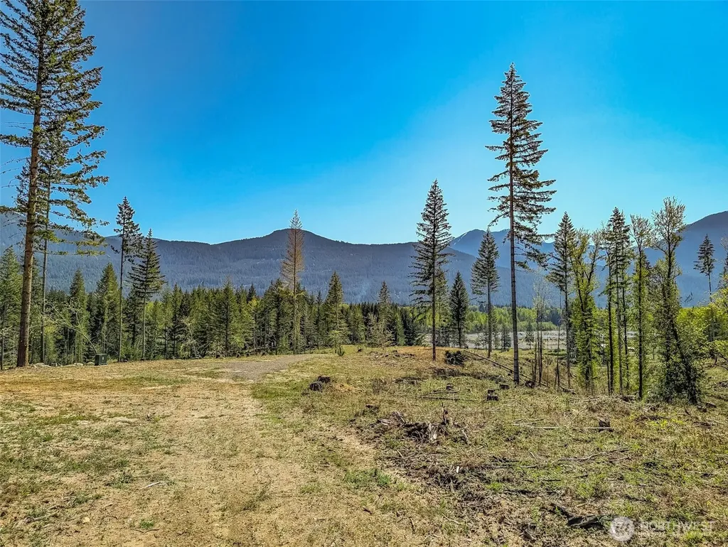 0 Craig Road Packwood WA 98361