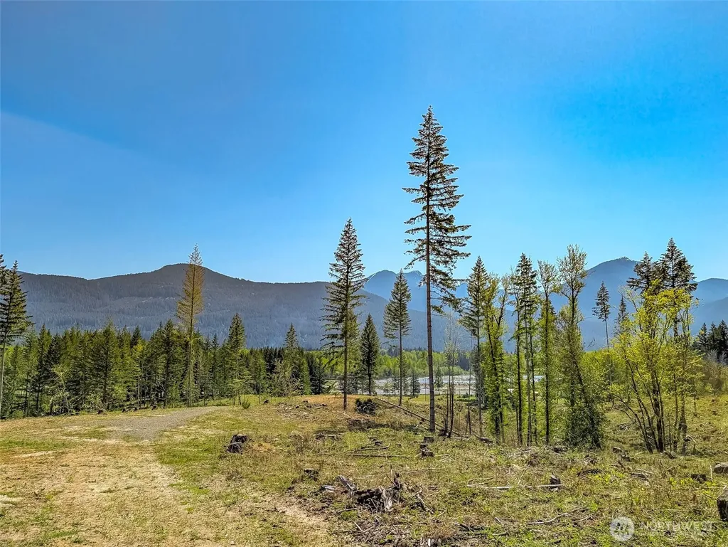 0 Craig Road Packwood WA 98361