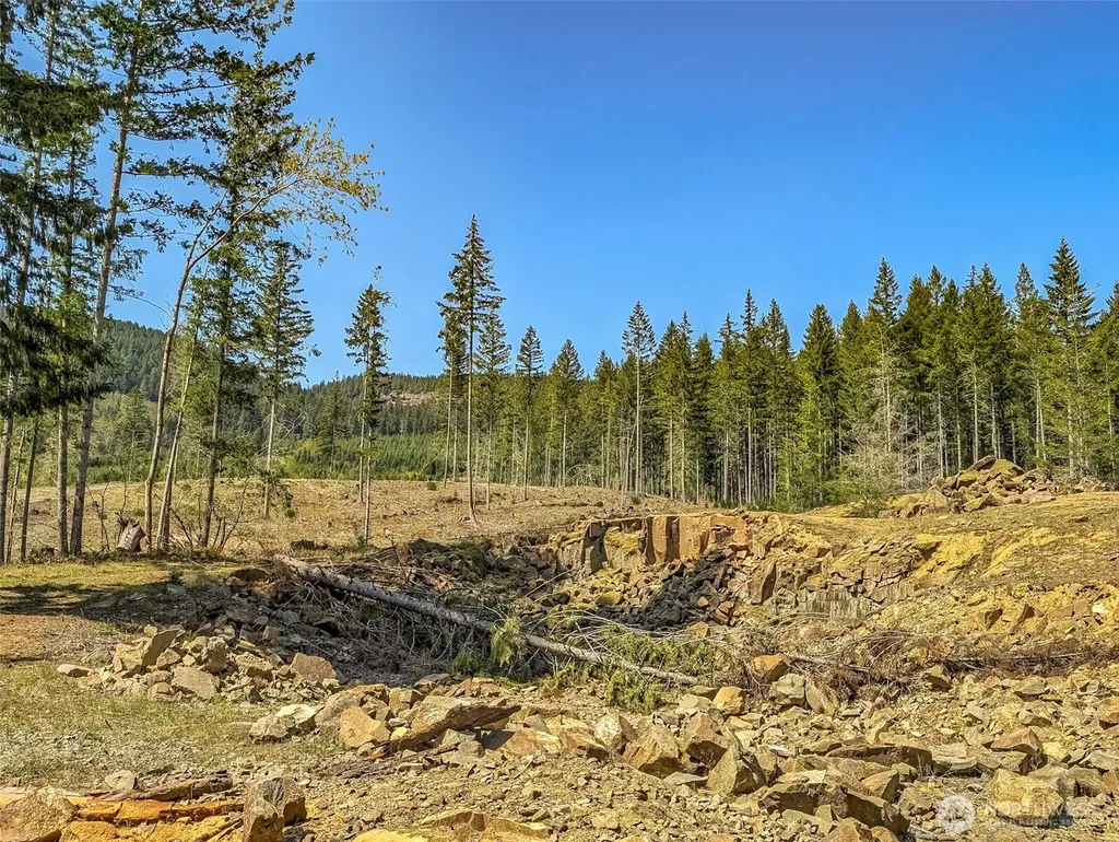 0 Craig Road Packwood WA 98361