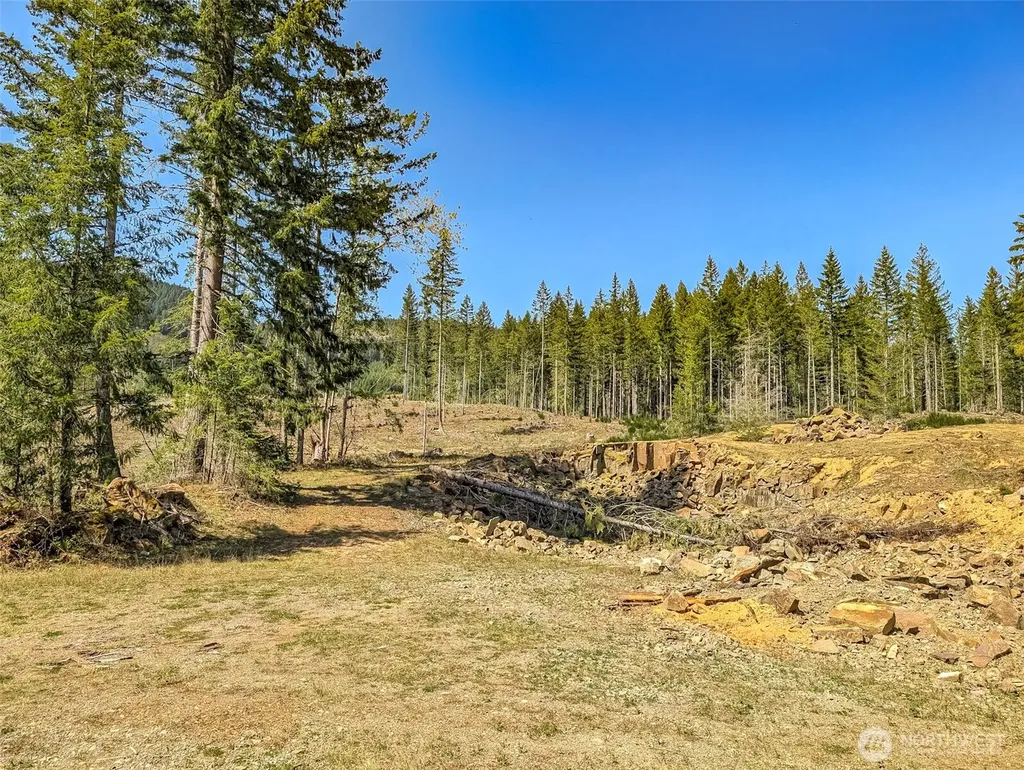 0 Craig Road Packwood WA 98361