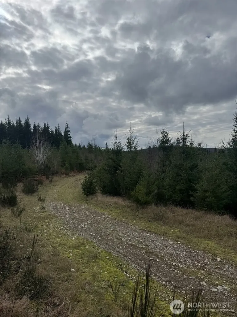 31101 SE Retreat-kanaskat Road Ravensdale WA 98051
