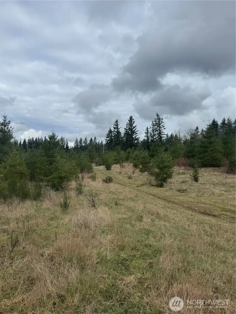31101 SE Retreat-kanaskat Road Ravensdale WA 98051
