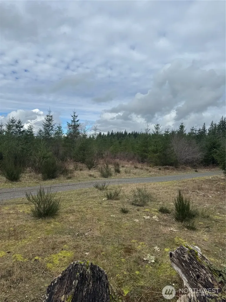 31101 SE Retreat-kanaskat Road Ravensdale WA 98051