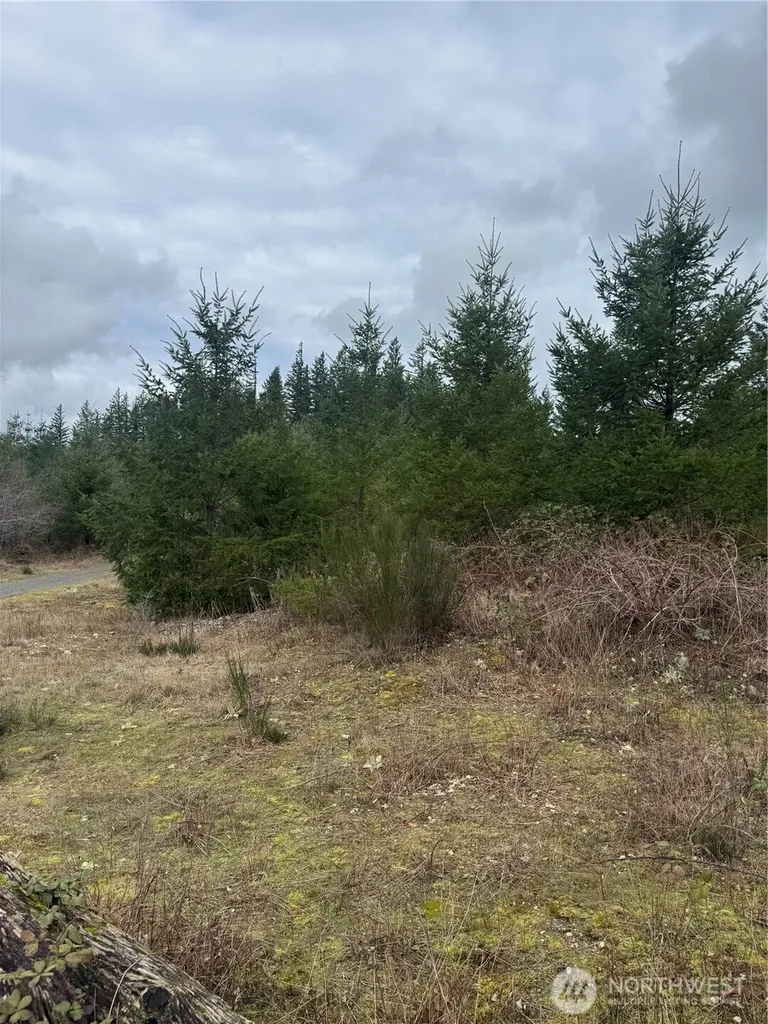 31101 SE Retreat-kanaskat Road Ravensdale WA 98051