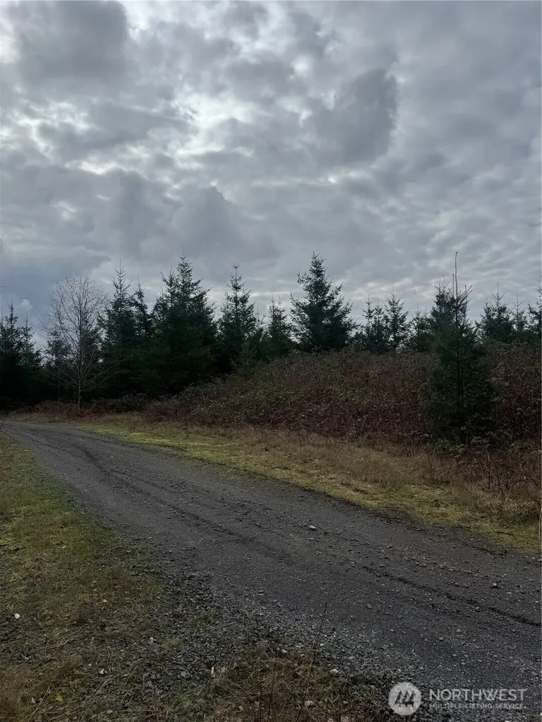 31101 SE Retreat-kanaskat Road Ravensdale WA 98051