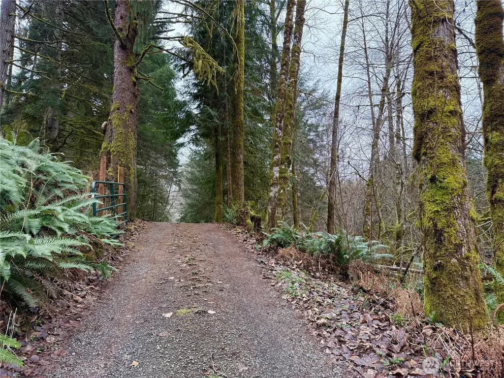 192 W Arrowhead Drive Elma WA 98541