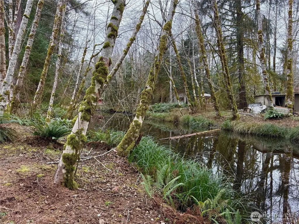 192 W Arrowhead Drive Elma WA 98541