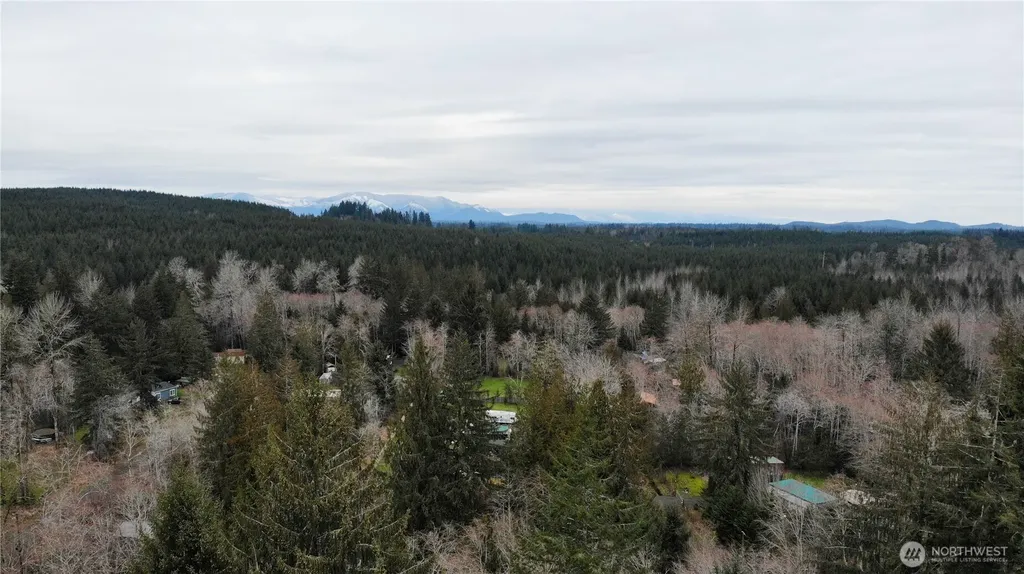 192 W Arrowhead Drive Elma WA 98541