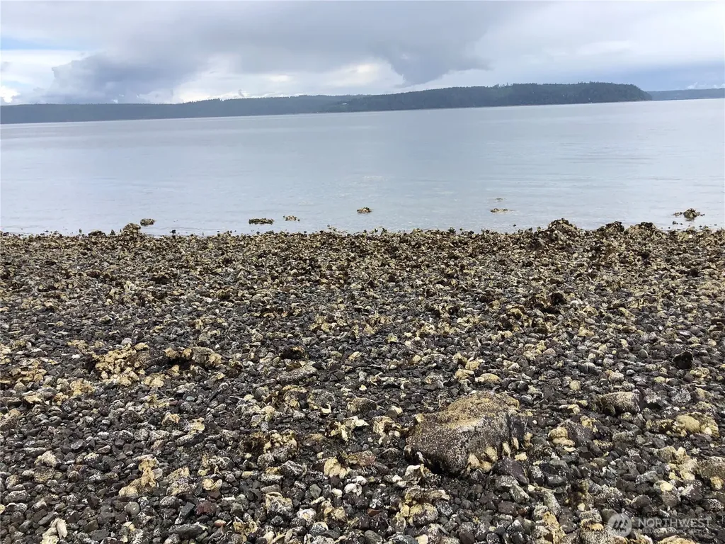 791 Seal Rock Road Brinnon WA 98320