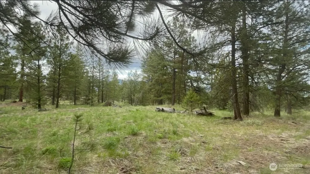 0 Fs 3010 Road Tonasket WA 98855