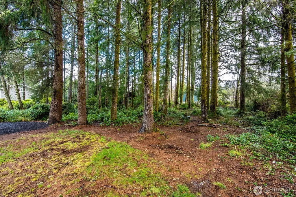 559 Weatherwax Loop NE Ocean Shores WA 98569