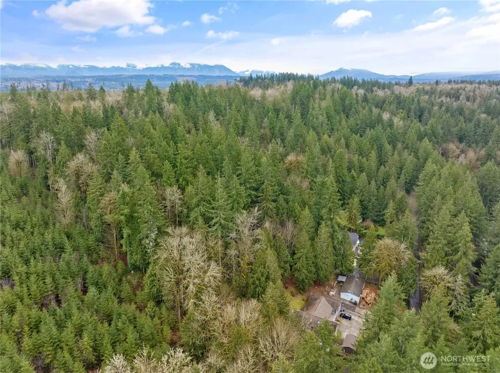 3866 E Ames Lake Drive NE Redmond WA 98053