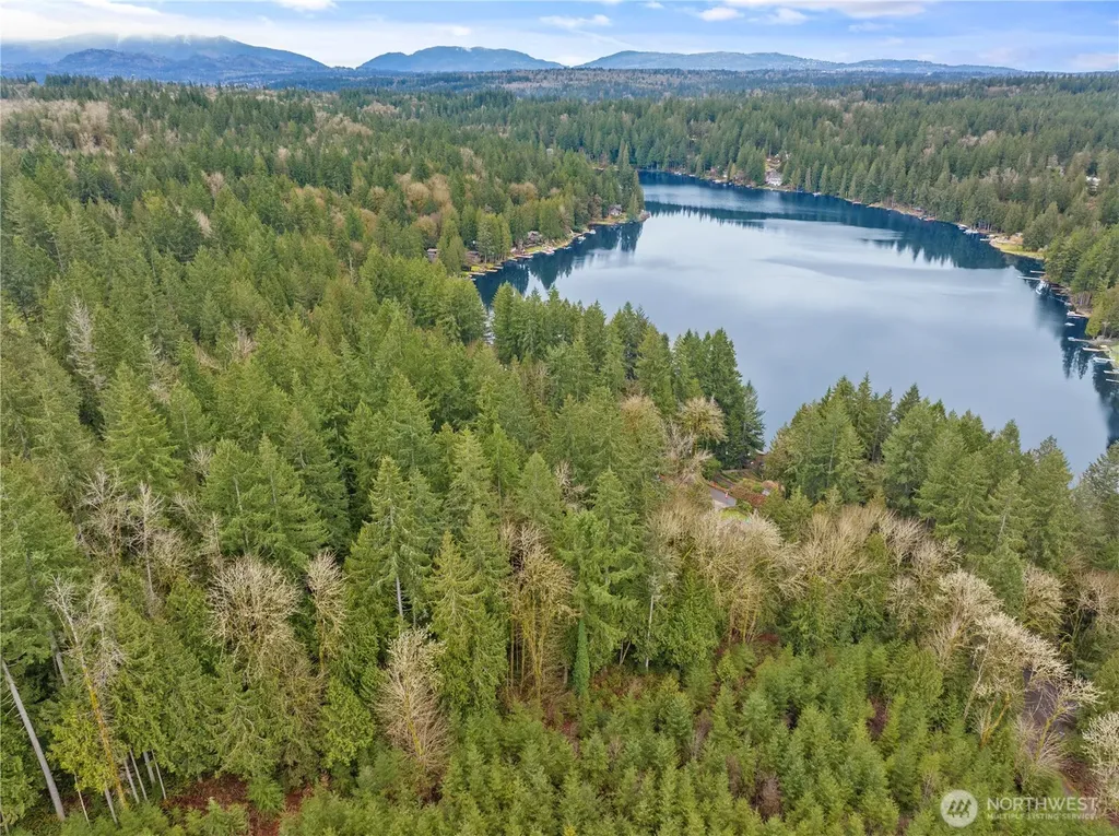 3866 E Ames Lake Drive NE Redmond WA 98053