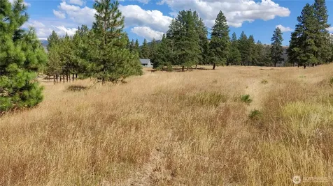 1640 Leo Lane Cle Elum WA 98922