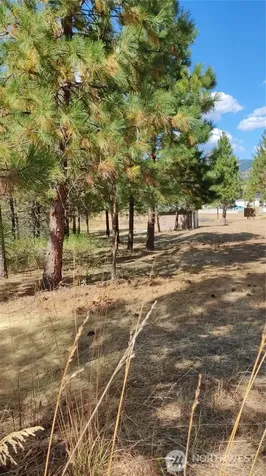1640 Leo Lane Cle Elum WA 98922