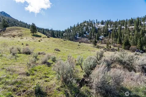 7993 Nahahum Canyon Road Cashmere WA 98815