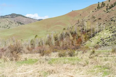 7993 Nahahum Canyon Road Cashmere WA 98815