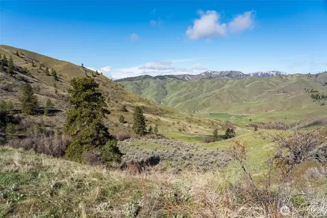 7993 Nahahum Canyon Road Cashmere WA 98815
