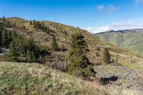7993 Nahahum Canyon Road Cashmere WA 98815