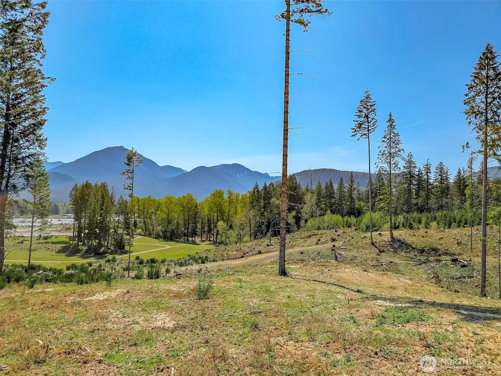 0 Craig Road Packwood WA 98361