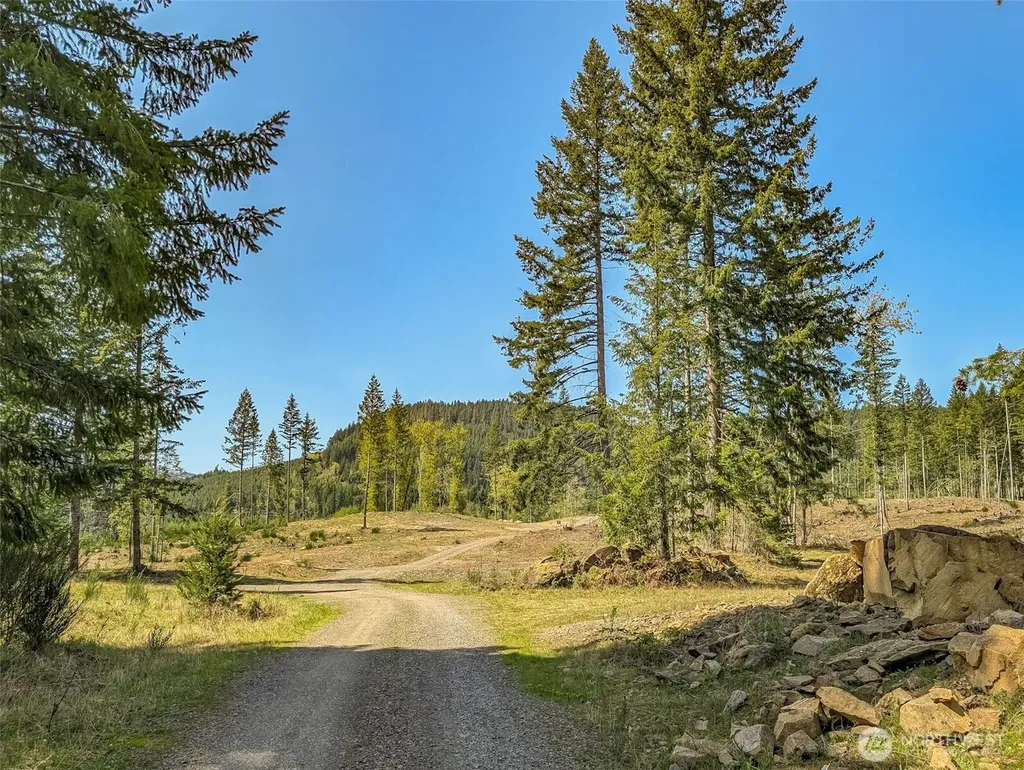 0 Craig Road Packwood WA 98361