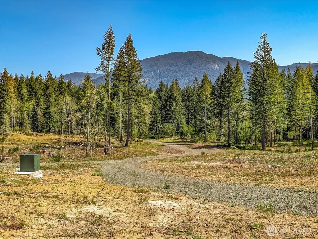 0 Craig Road Packwood WA 98361