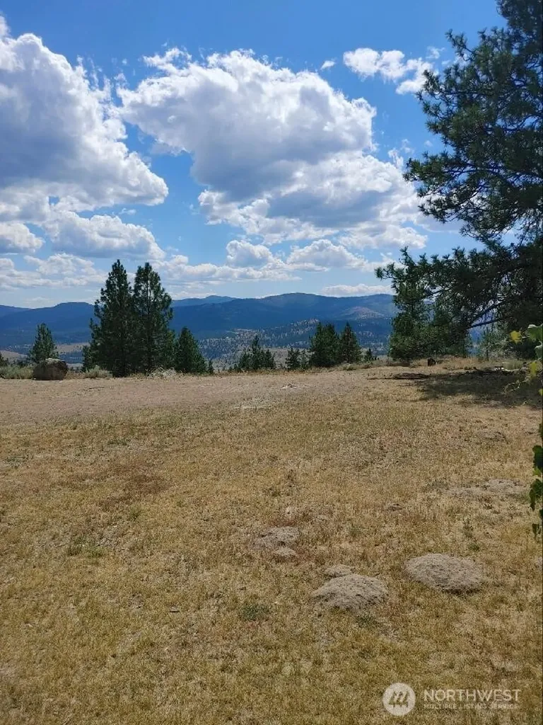 83 E Cayuse Mountain Road Tonasket WA 98855