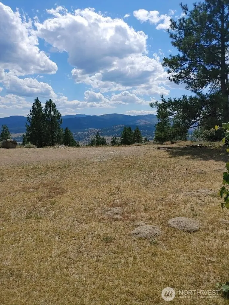 83 E Cayuse Mountain Road Tonasket WA 98855