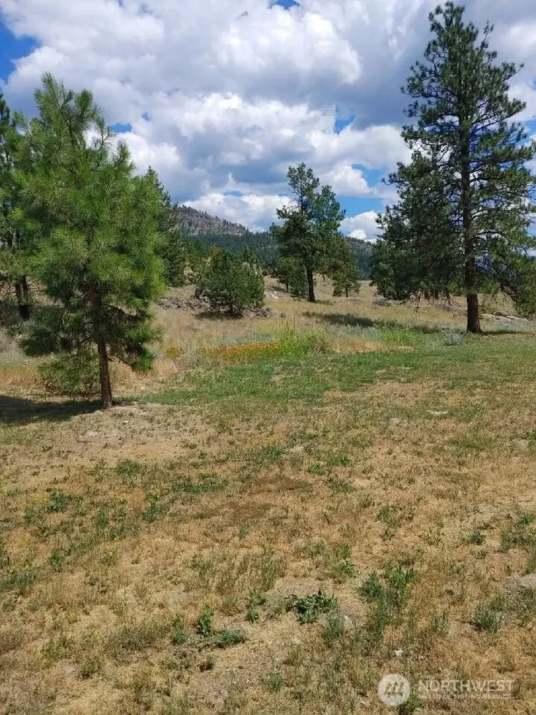 83 E Cayuse Mountain Road Tonasket WA 98855