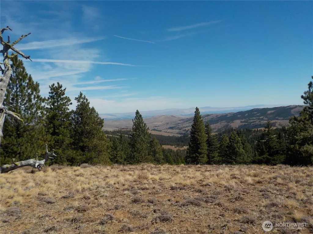 83 E Cayuse Mountain Road Tonasket WA 98855