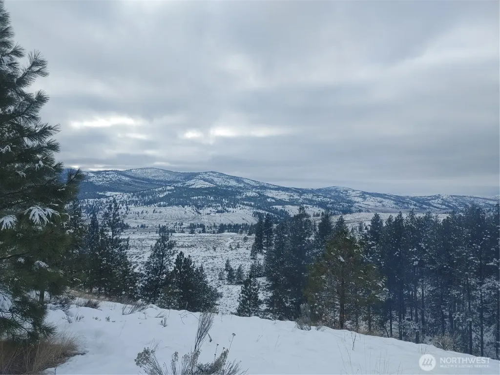 83 E Cayuse Mountain Road Tonasket WA 98855