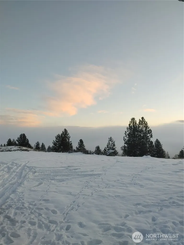 83 E Cayuse Mountain Road Tonasket WA 98855