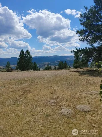 83 E Cayuse Mountain Road Tonasket WA 98855