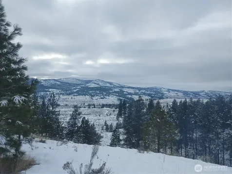 83 E Cayuse Mountain Road Tonasket WA 98855