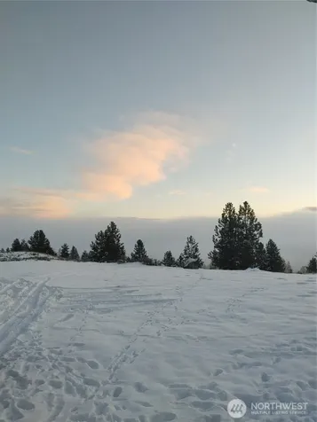 83 E Cayuse Mountain Road Tonasket WA 98855
