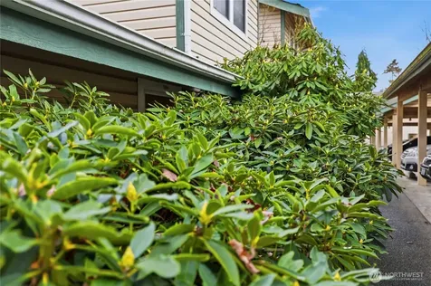 21306 48th Avenue W Mountlake Terrace WA 98043
