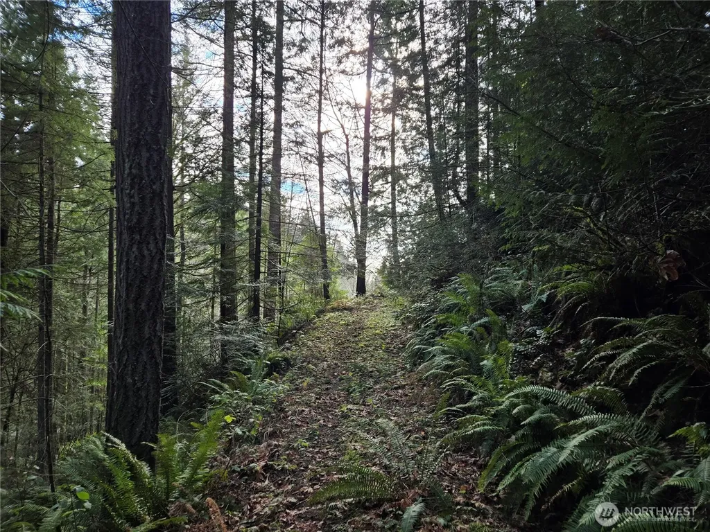 216 Bond Road NE Poulsbo WA 98370