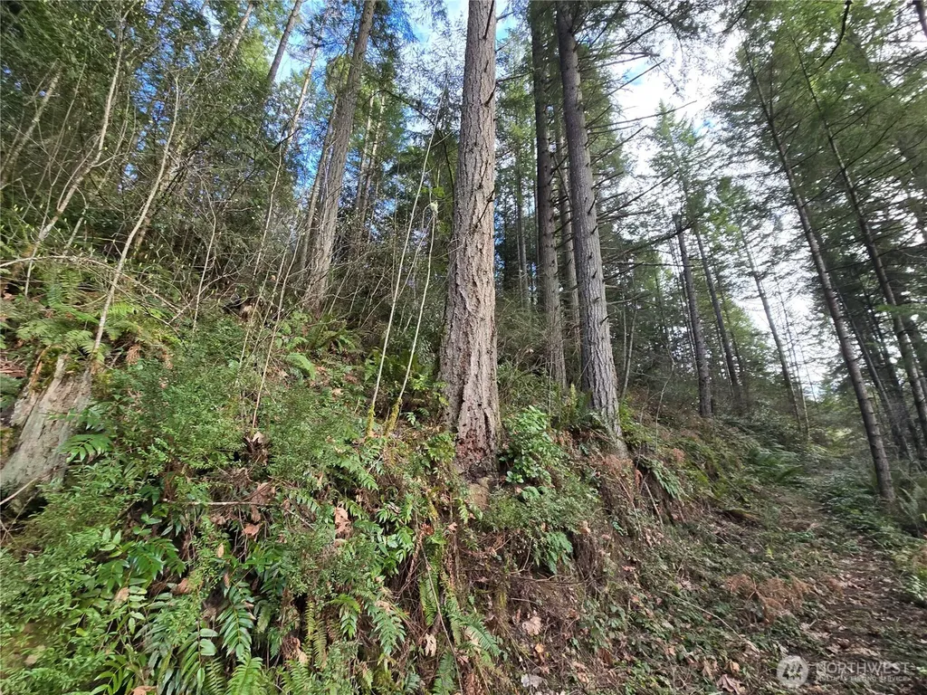 216 Bond Road NE Poulsbo WA 98370