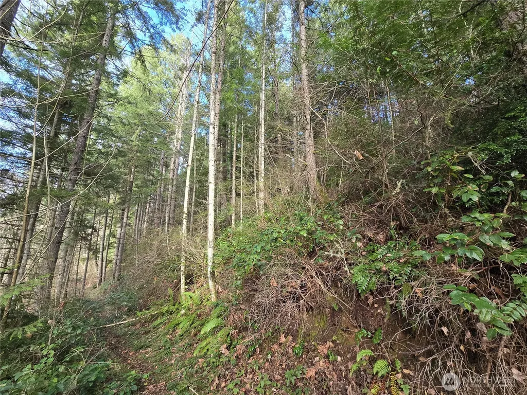 216 Bond Road NE Poulsbo WA 98370