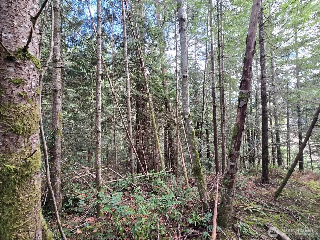 216 Bond Road NE Poulsbo WA 98370