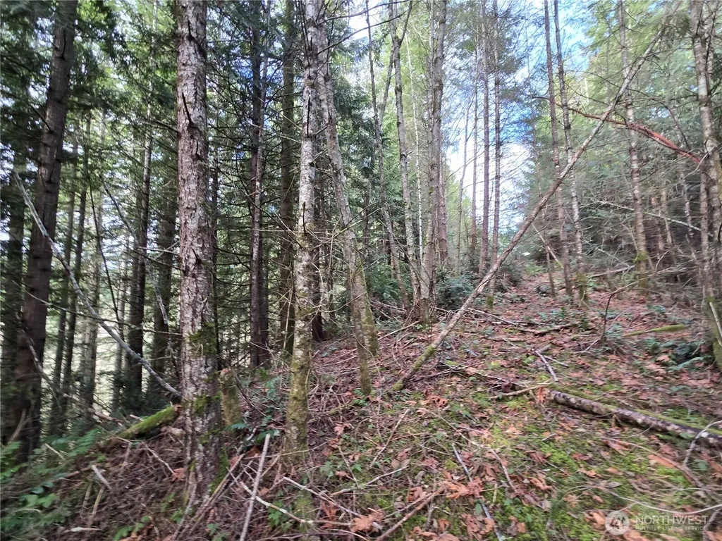 216 Bond Road NE Poulsbo WA 98370