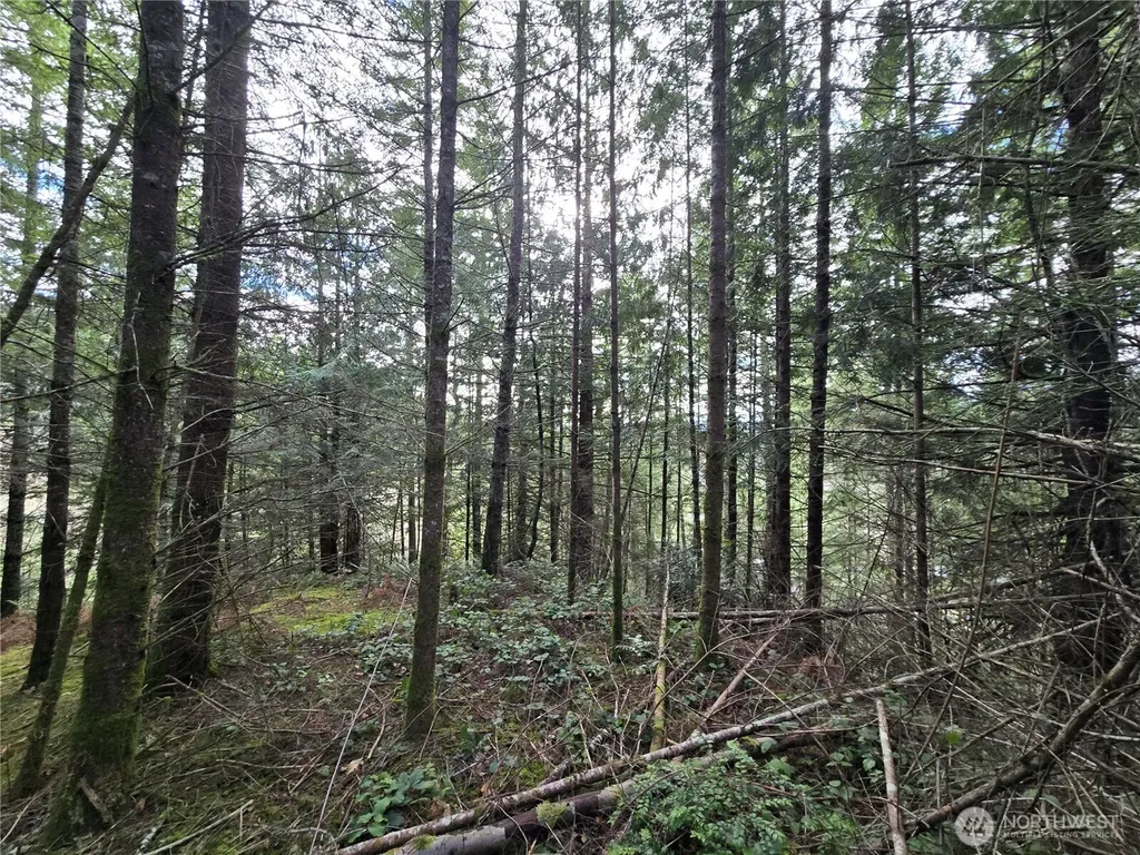 216 Bond Road NE Poulsbo WA 98370