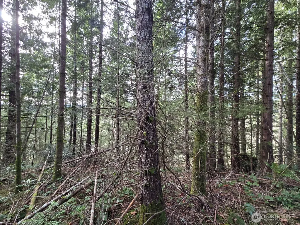 216 Bond Road NE Poulsbo WA 98370