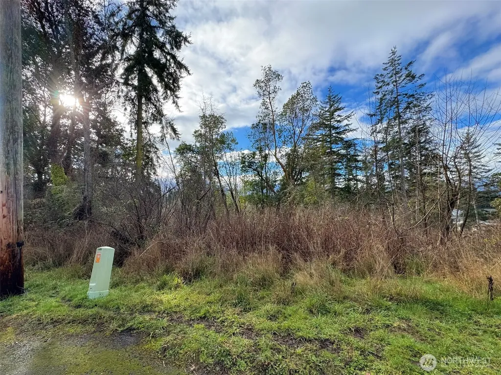 0 W 8/9 Alley Port Angeles WA 98363