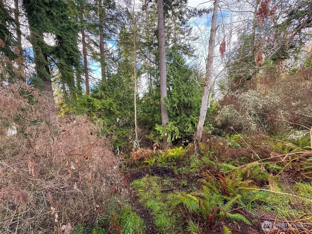 0 W 8/9 Alley Port Angeles WA 98363