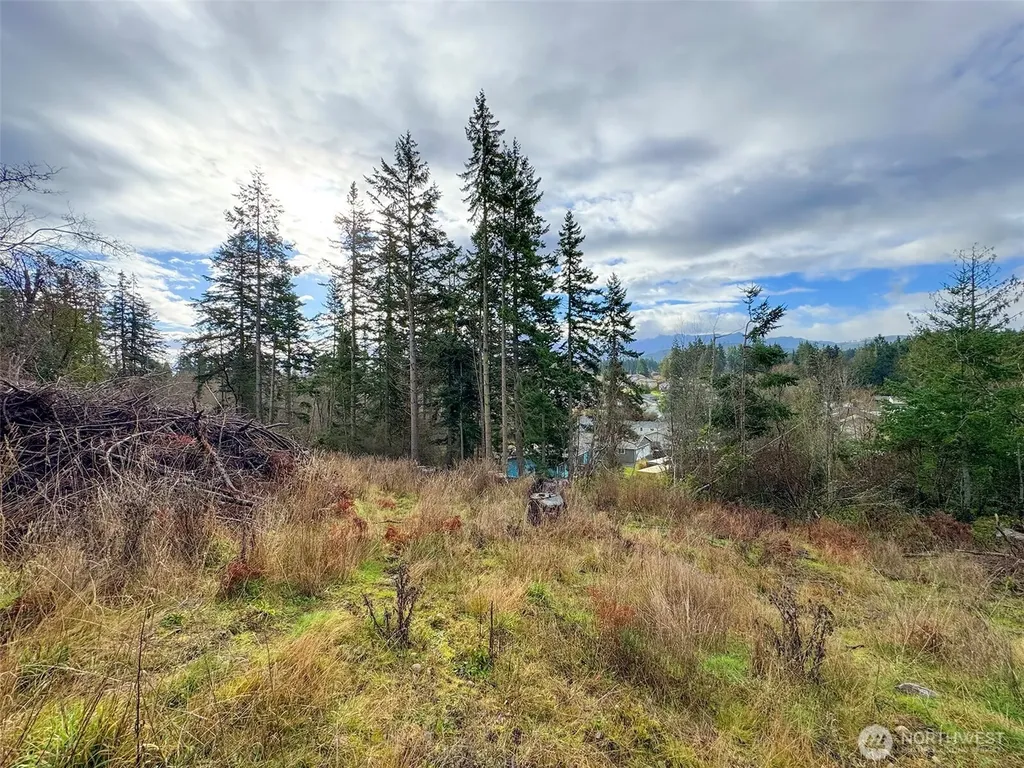 0 W 8/9 Alley Port Angeles WA 98363