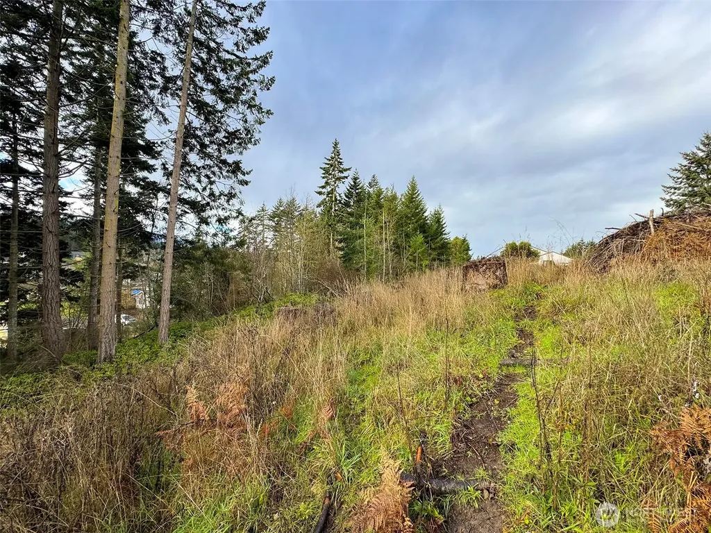 0 W 8/9 Alley Port Angeles WA 98363
